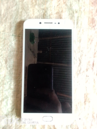 Vivo1601
